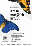 Plakát k výstavě Krása motýlích křídel, Národní muzeum, 2011