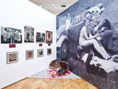 Od bezu k šafránu - barvířské rostliny<br />Středočeské muzeum v Roztokách u Prahy, červen – listopad 2014