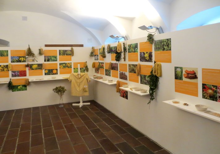 Od bezu k šafránu - barvířské rostliny